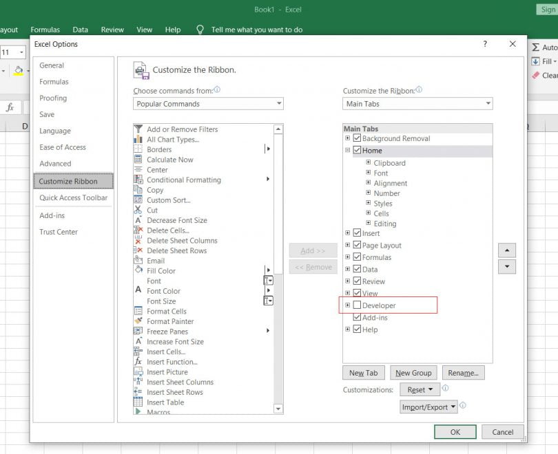 How to add developer tab in Excel? - MacrosInExcel.com